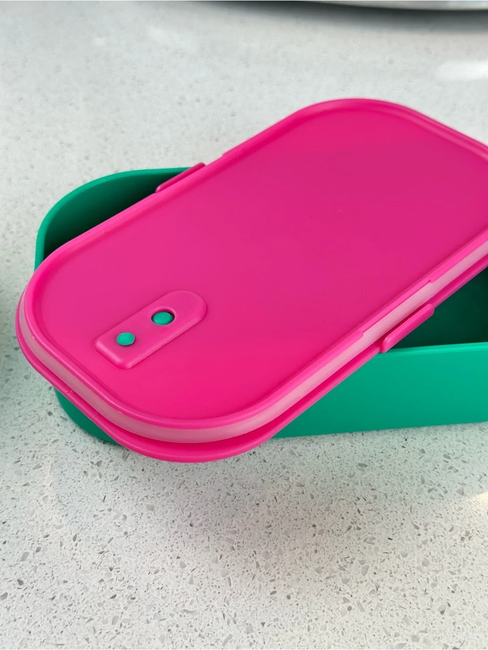 Bento lunch box pink green - back to school food container